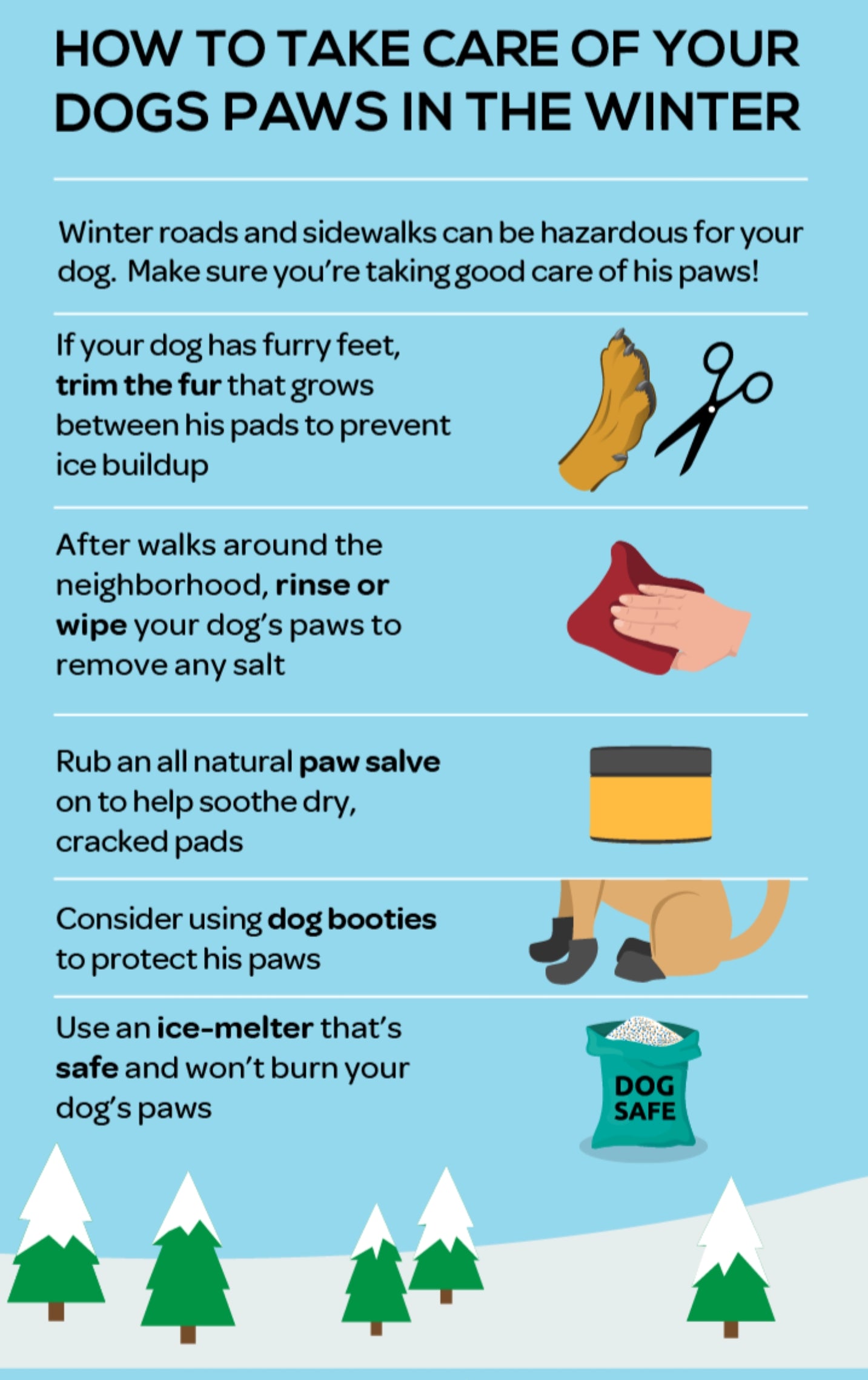 How to take care of your pets paws in Winter
